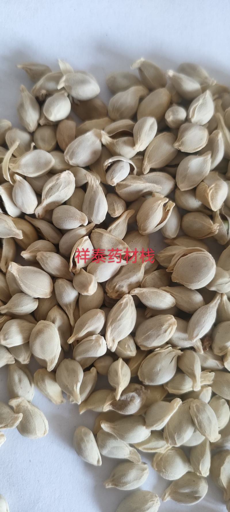 （热销）橘核桔核产地大货量多从优实物拍摄地道药材