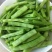 珍玉绿秀六号豆角种子结荚能力强荚条均匀深绿条8000斤
