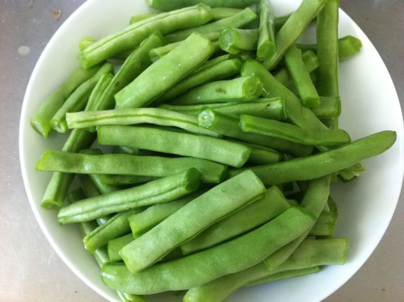 珍玉绿秀六号豆角种子结荚能力强荚条均匀深绿条8000斤
