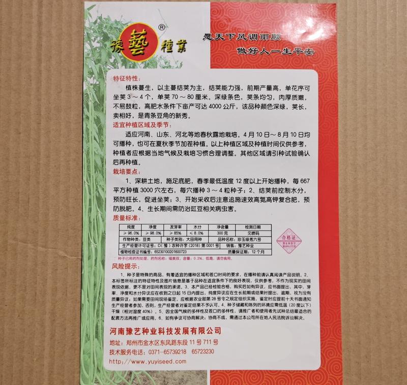 珍玉绿秀六号豆角种子结荚能力强荚条均匀深绿条8000斤