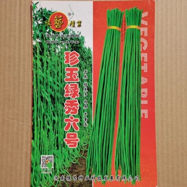 珍玉绿秀六号豆角种子结荚能力强荚条均匀深绿条8000斤