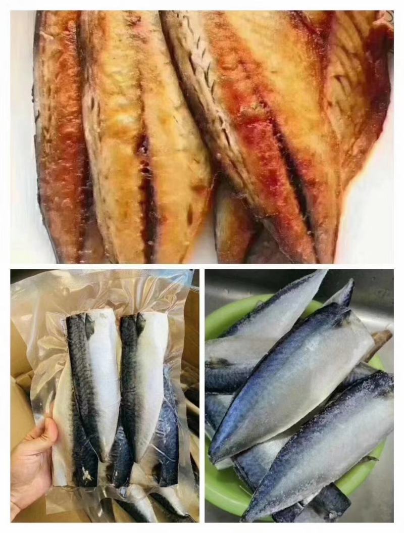 鲐鲅鱼干适合煎烤450g/袋20袋/件产地批发