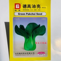 德高油亮青梗菜种子苏州青类型青菜种子大头束腰耐热菜种