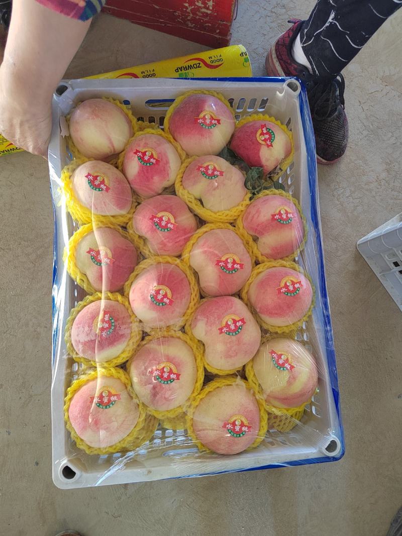 ，红桃大量上市，需要的联系