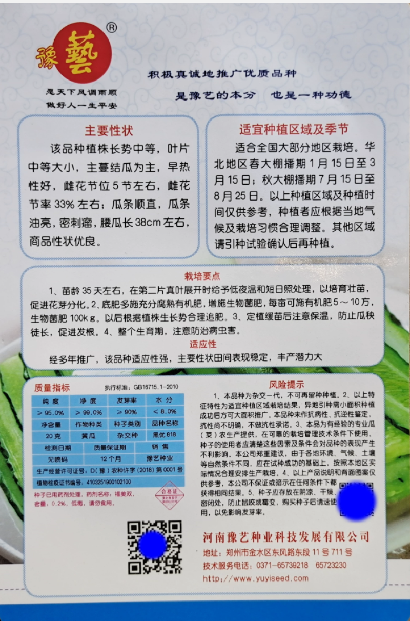 黑优818黄瓜种子抗病性强早熟性好油亮型密刺瘤产量高顺直