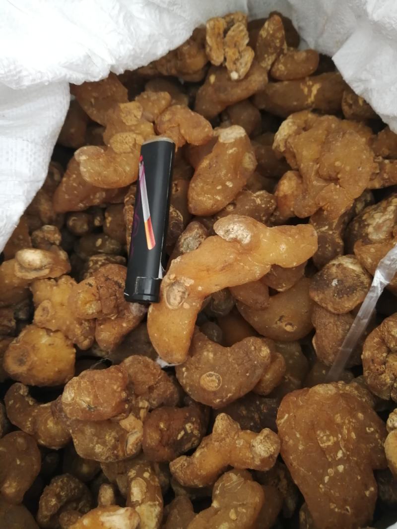 【牛商推荐】黄精，鸡头黄精，姜型黄精，甜黄精，欢迎联系