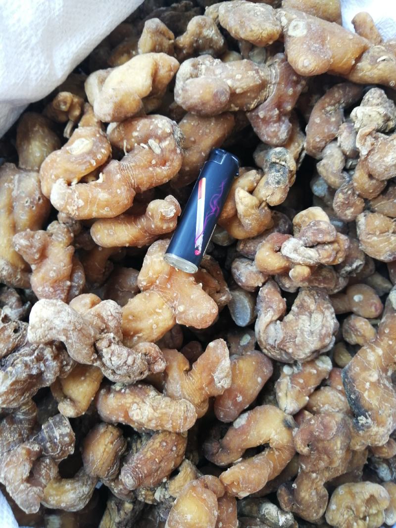 【牛商推荐】黄精，鸡头黄精，姜型黄精，甜黄精，欢迎联系