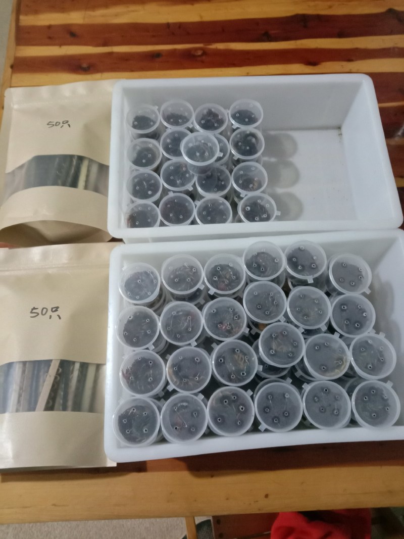 精装活体蜈蚣。干净卫生，膘肥体壮，产地，欲购从速。