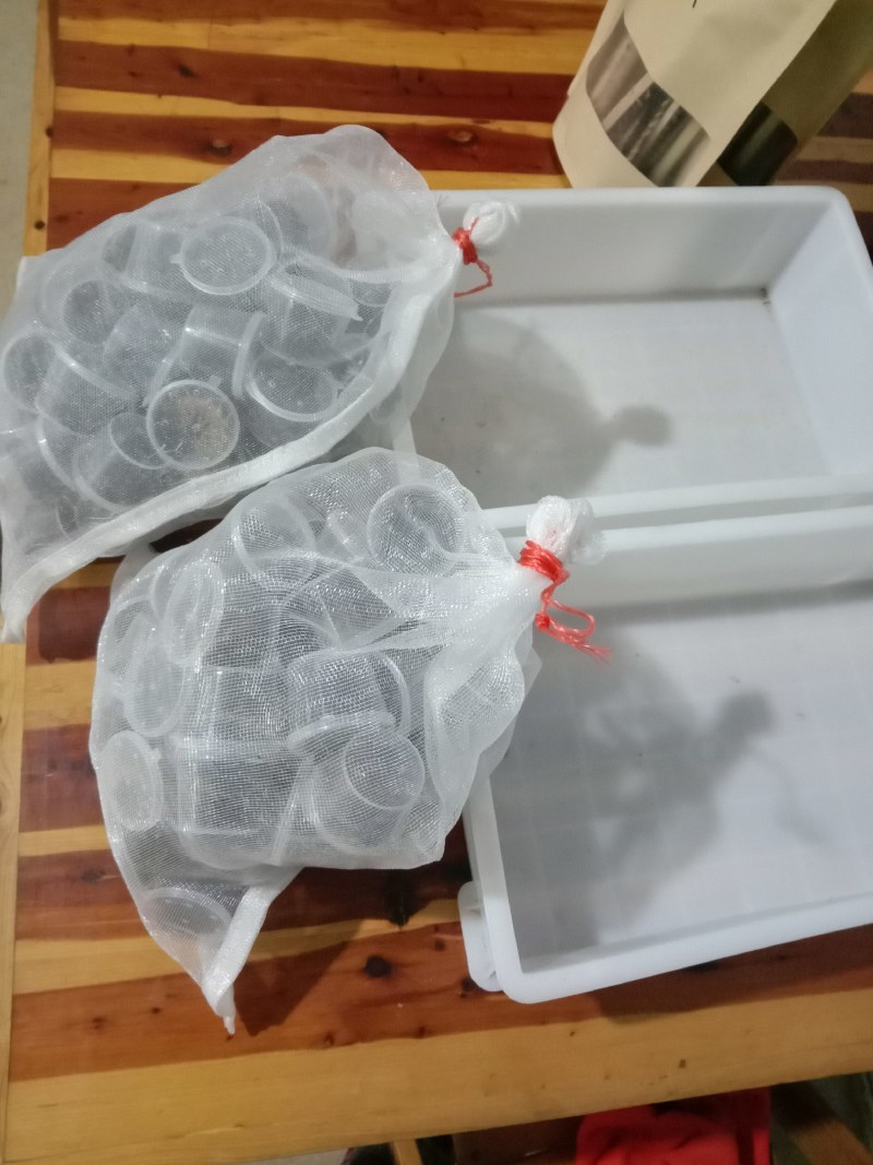 精装活体蜈蚣。干净卫生，膘肥体壮，产地，欲购从速。