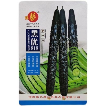 黑优818黄瓜种子抗病性强早熟性好油亮型密刺瘤产量高顺直