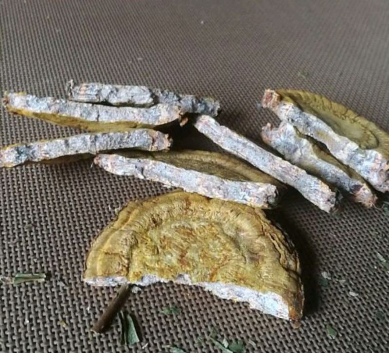 川大黄南大黄马蹄大黄大黄丁一级保品质包含量