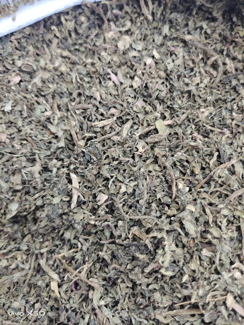 马齿笕，2022年的新货，需要的下单吧，量大的私聊