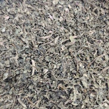 马齿笕，2022年的新货，需要的下单吧，量大的私聊