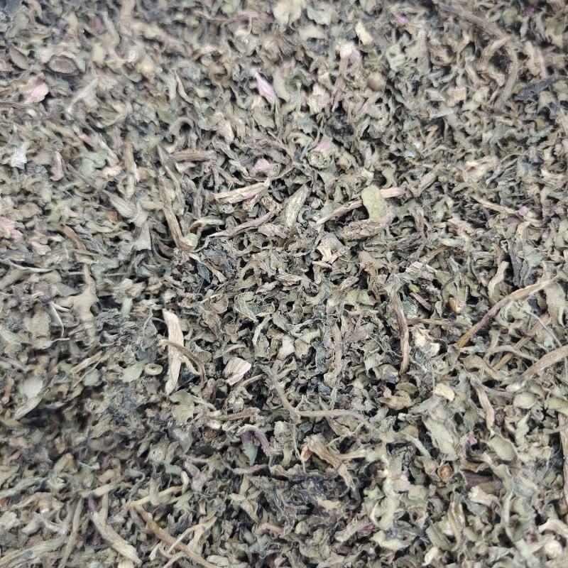 马齿笕，2022年的新货，需要的下单吧，量大的私聊