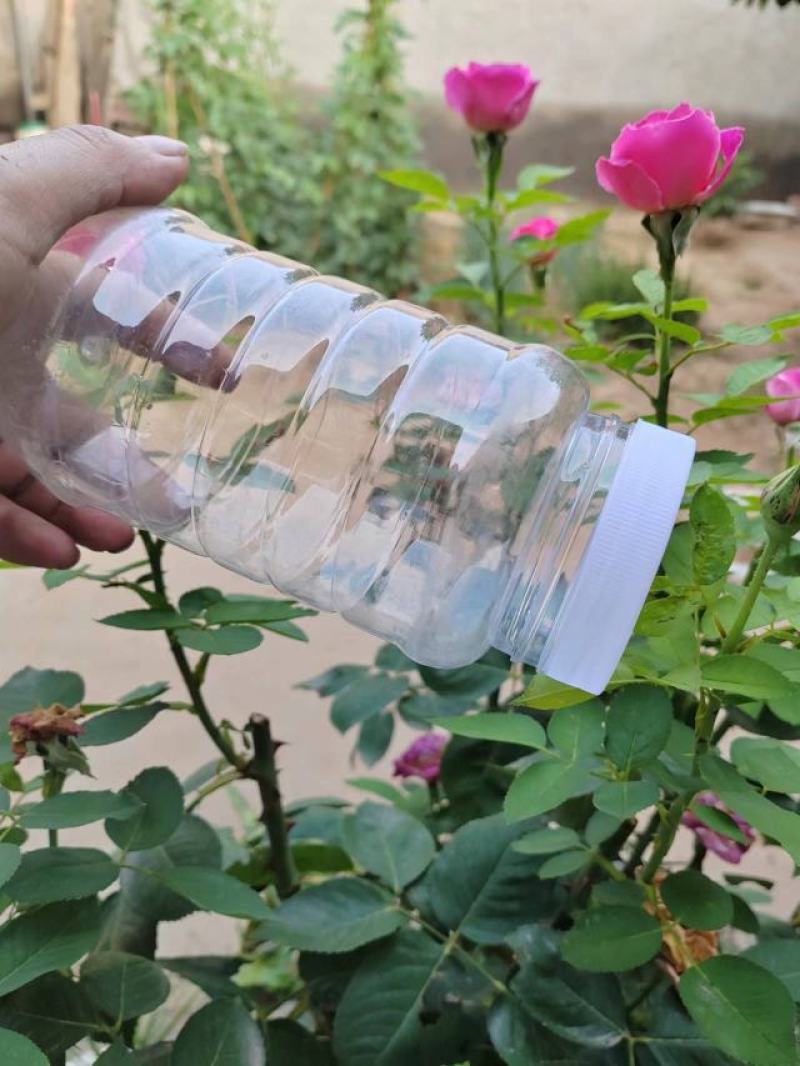 塑料瓶包装瓶