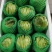 【生菜】善和圆鑫精品球生菜基地种植冷库加工品质保证
