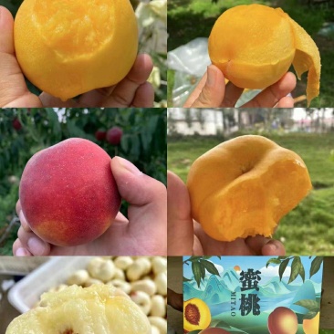 各种水蜜桃