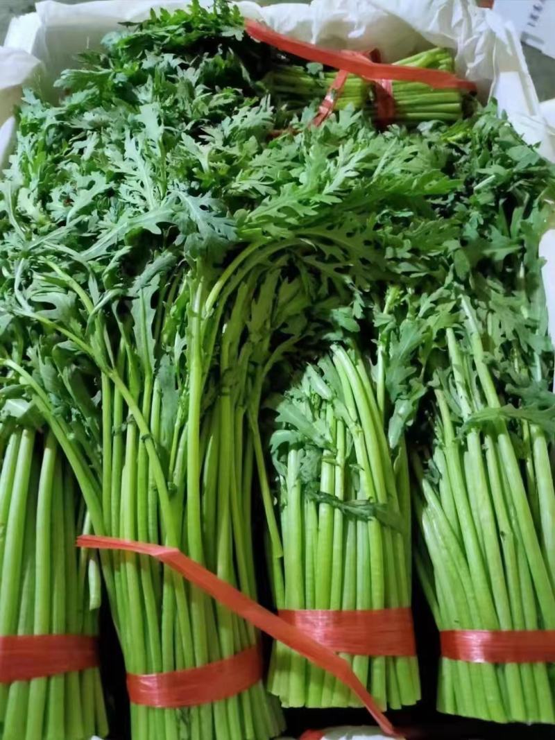 【优选】新鲜光杆小叶茼蒿皇帝菜对接市场电商商超