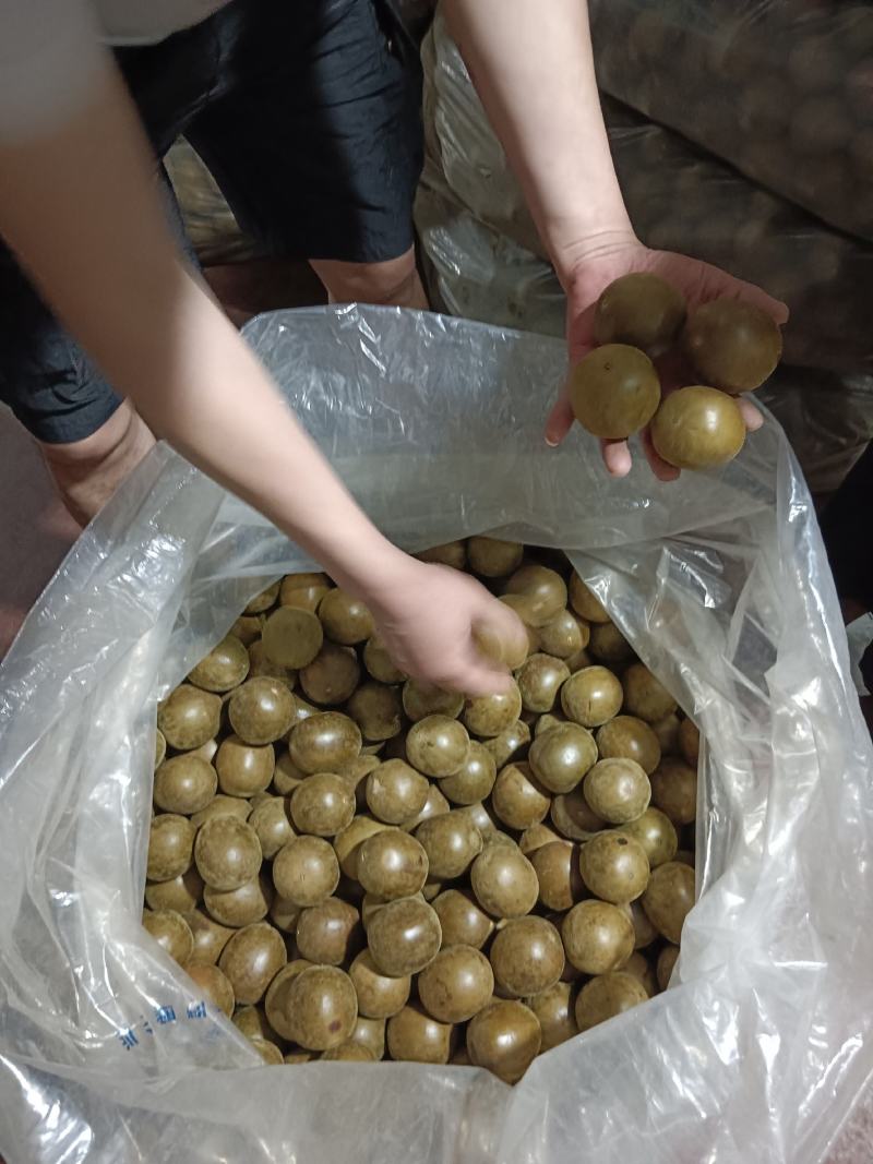 罗汉果货源大量供应，一件都是批发价，可以供应电商