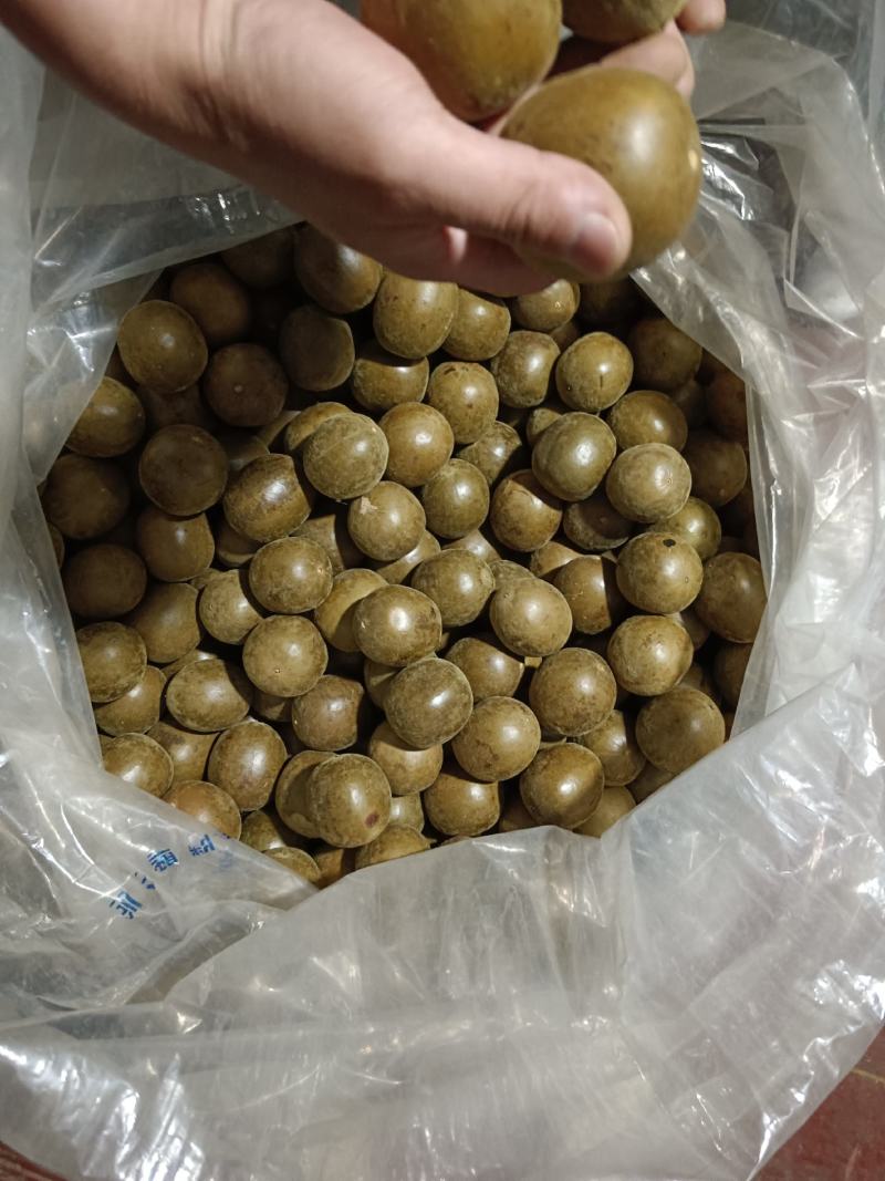 罗汉果货源大量供应，一件都是批发价，可以供应电商