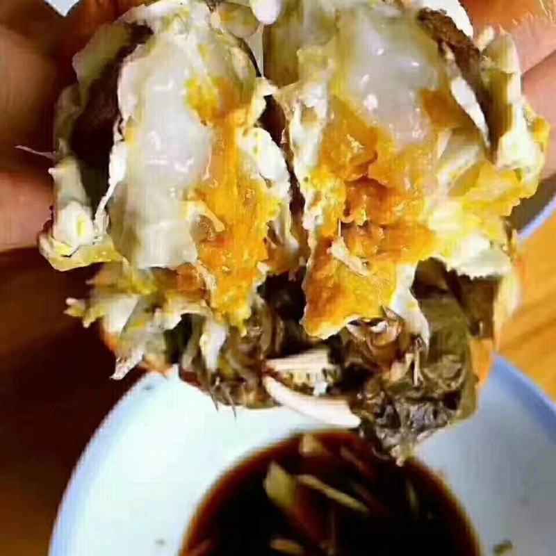 盘锦河蟹，稻田蟹，老头蟹，一元蟹，货源充足，四季供货