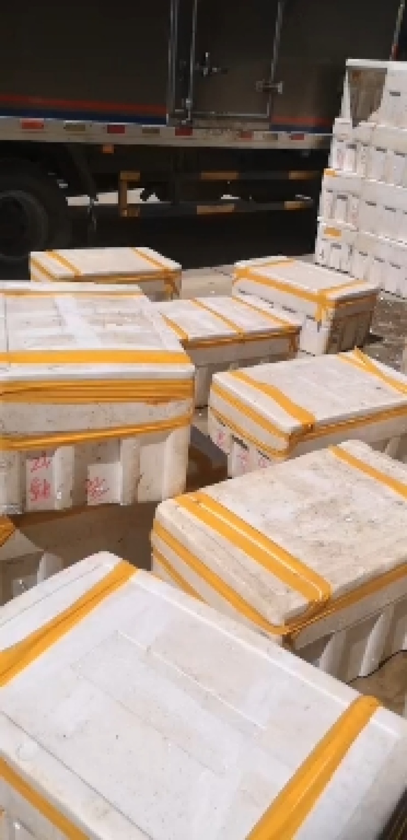 盘锦河蟹，稻田蟹，老头蟹，一元蟹，货源充足，四季供货