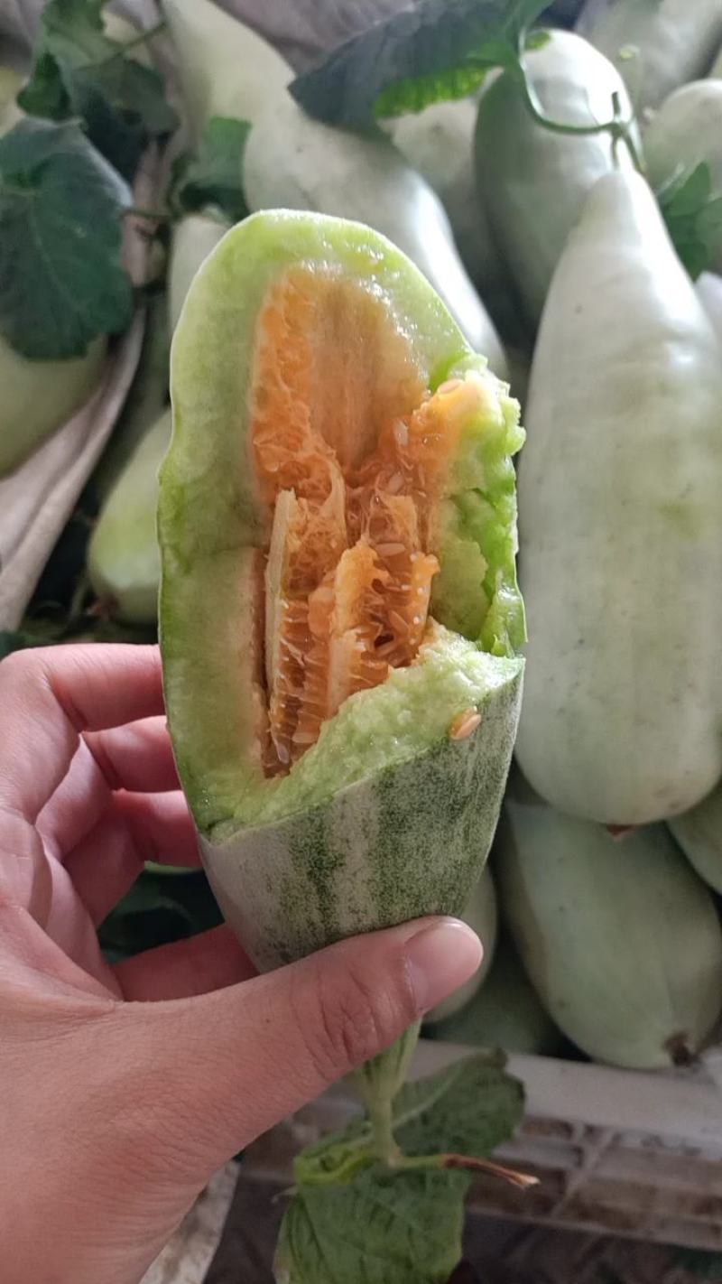 羊角蜜【原产地】电商货，市场货，超市货大量现货，大量接单