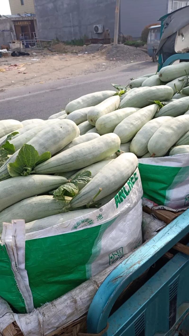 羊角蜜【原产地】电商货，市场货，超市货大量现货，大量接单
