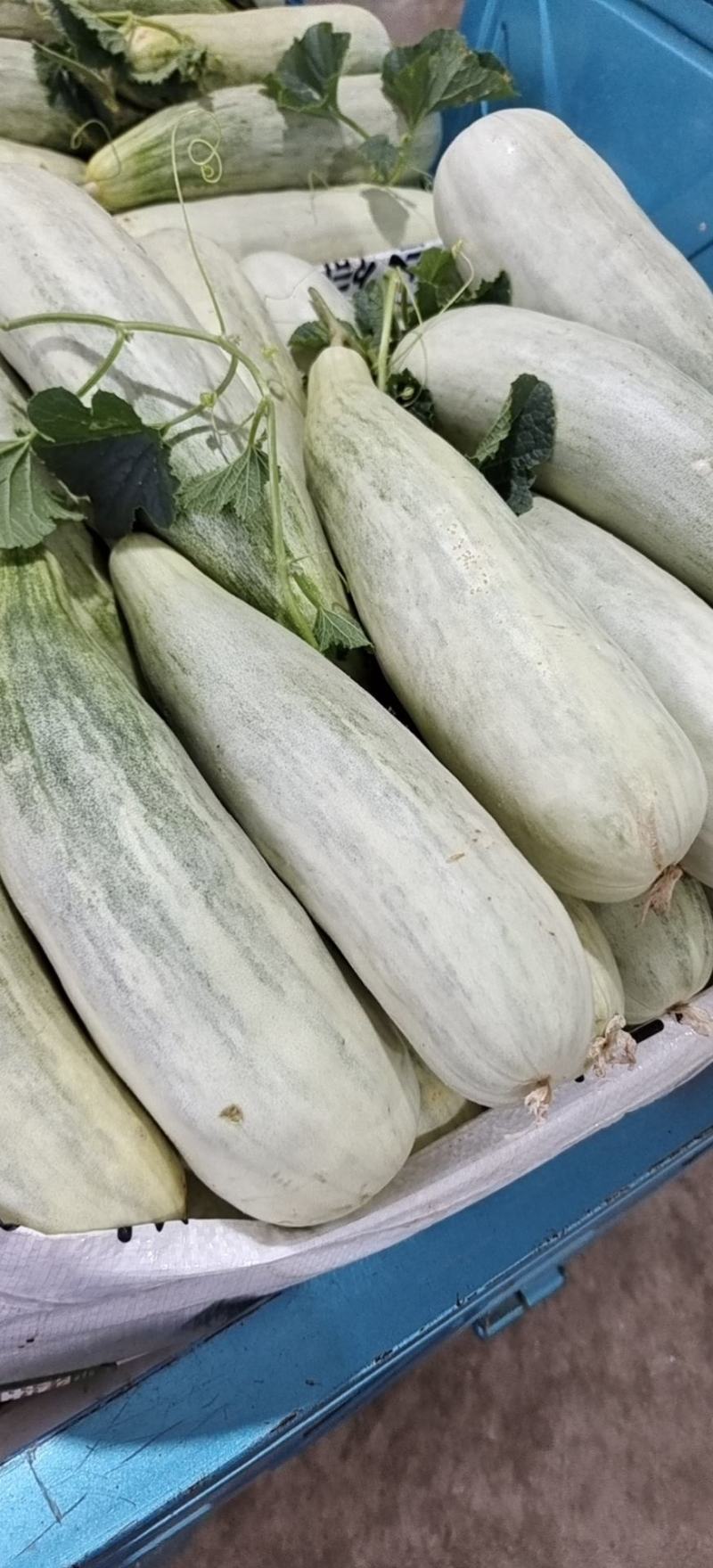 羊角蜜【原产地】电商货，市场货，超市货大量现货，大量接单
