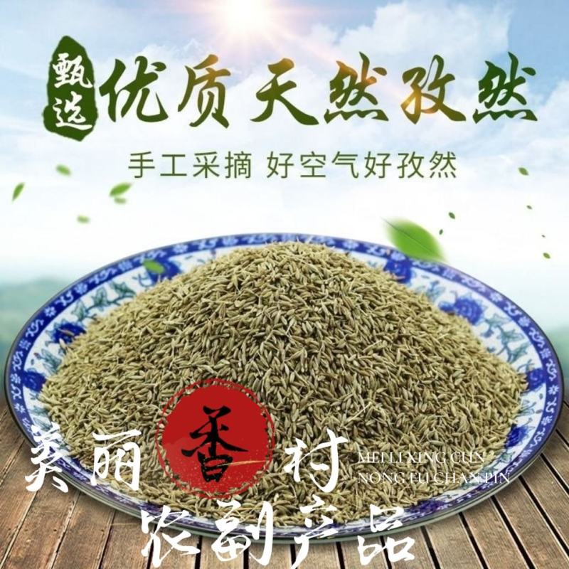 【精品孜然热卖推荐】5斤起批正宗新疆孜然孜然粉烧烤供应
