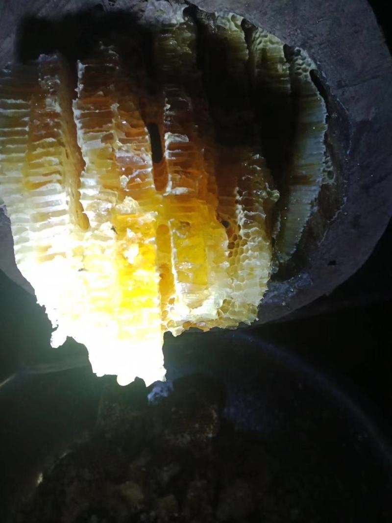 山蜂蜜家蜂蜜槐花蜜白花蜜一件代发欢迎下单