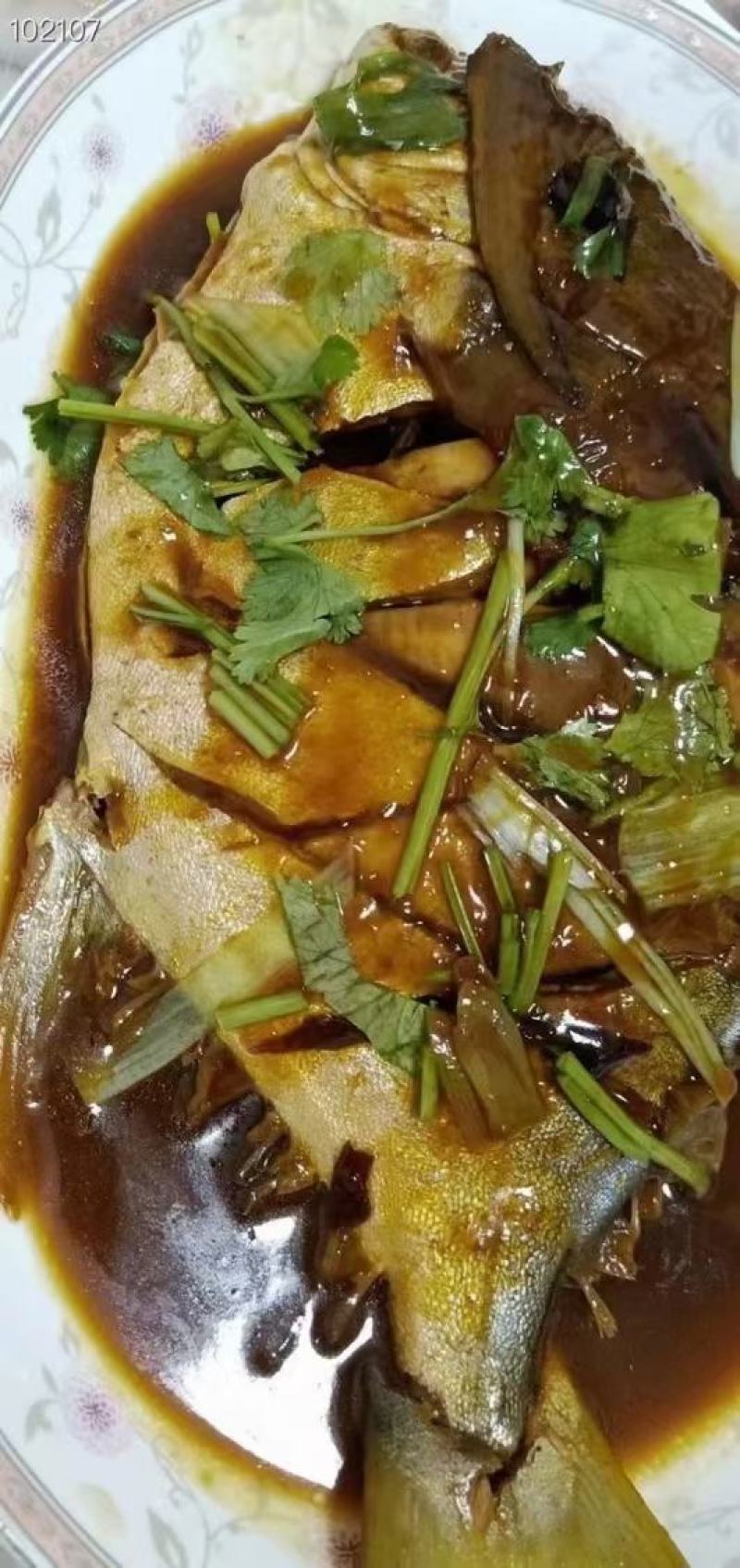 金冒鱼活冻每条1.2斤左右12条/件14斤精品昌鱼批发