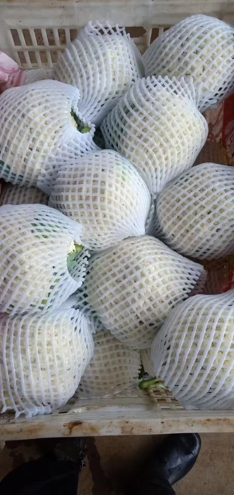 【优选】精品松花菜有机花菜花椰菜对接市场电商商超