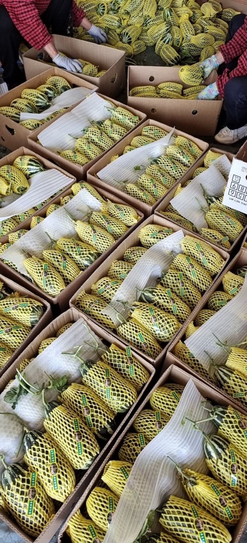 博洋九【原产地】电商货，市场货，超市货，货源充足一手货源