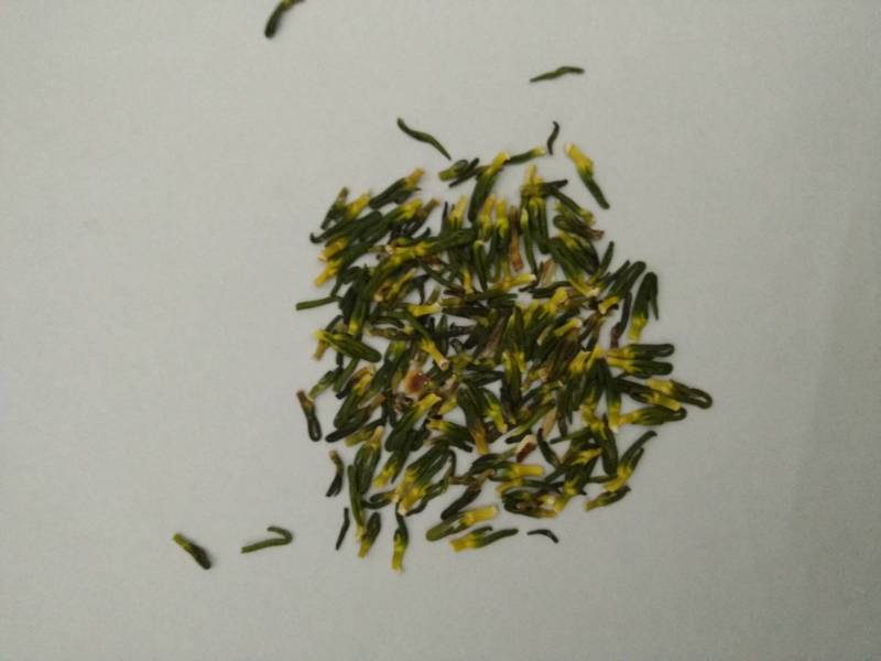 莲子芯鲁舜泽中药材商行中药材批发零售，诚信经营