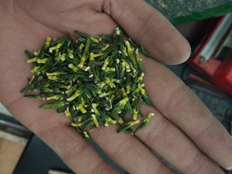 莲子芯鲁舜泽中药材商行中药材批发零售，诚信经营