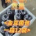 金耳菌包厂家直销大量供货。你有量我有货