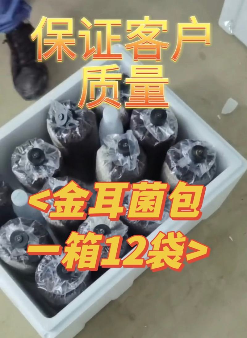 金耳菌包厂家直销大量供货。你有量我有货