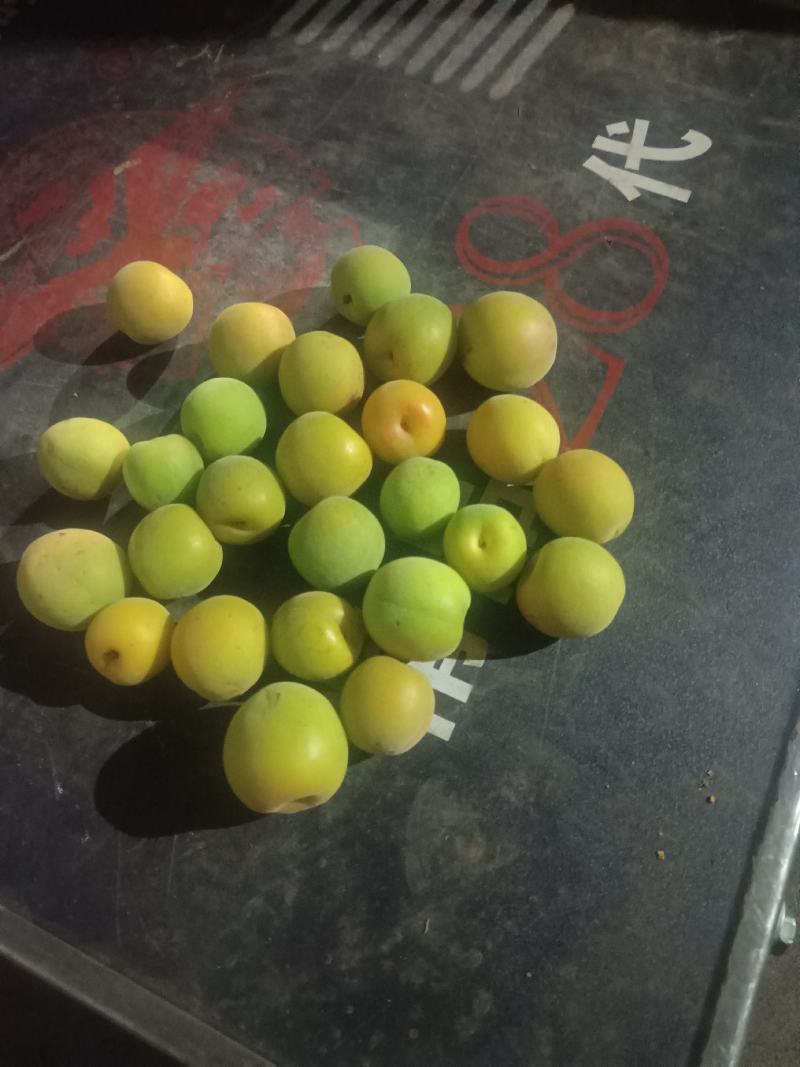 青梅