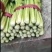 【优选】优质西芹芹菜新鲜蔬菜对接市场电商商超