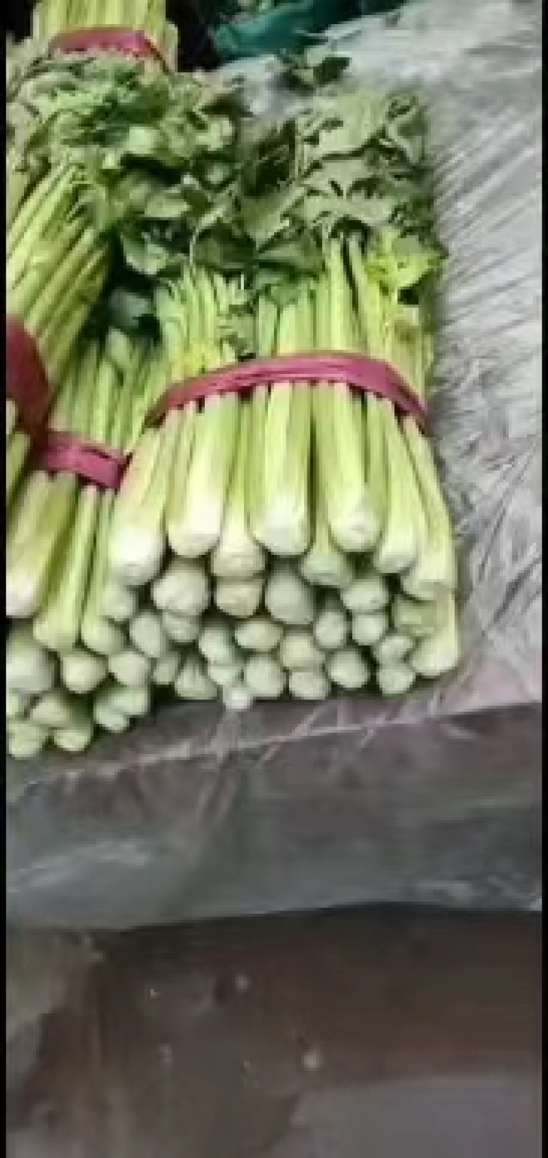 【优选】优质西芹芹菜新鲜蔬菜对接市场电商商超