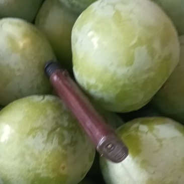 油奈，大量出售
