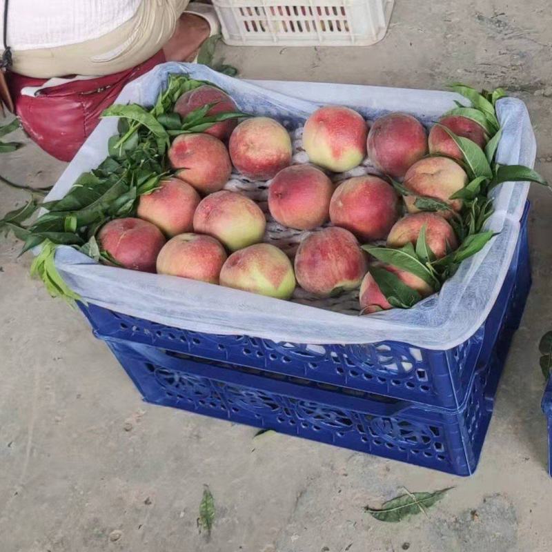 水果筐，桃筐，葡萄筐，阳光玫瑰筐，各种包材，厂家直销