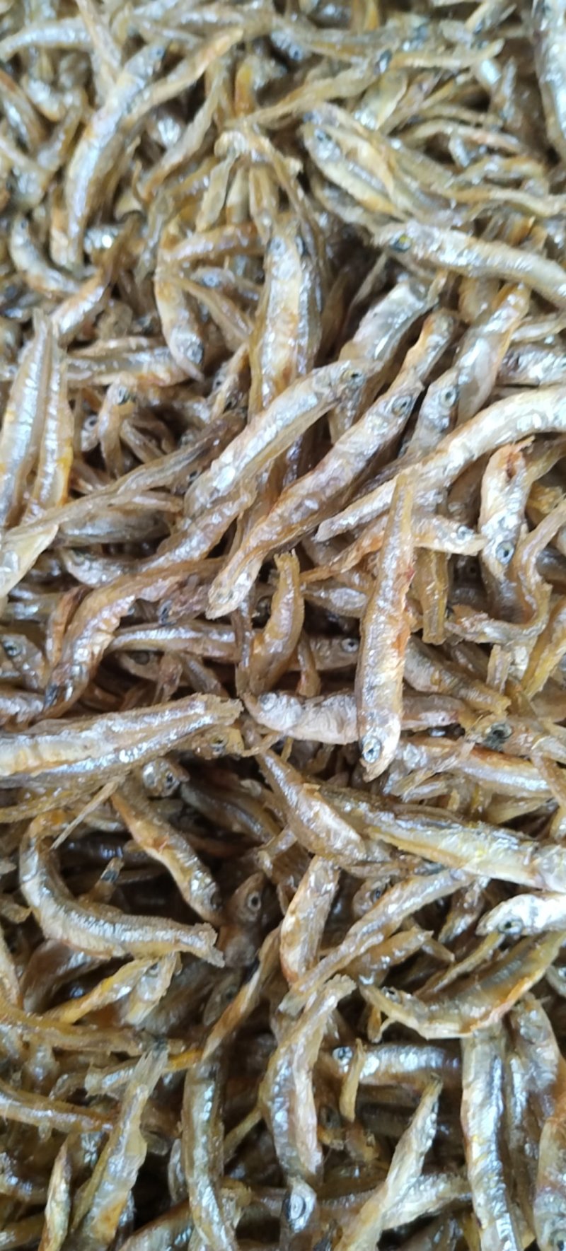 油炸中号贡鱼干不苦不生沙