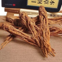 【当归】正宗无硫特级野生当归当归片当归粉中药材批发煲汤