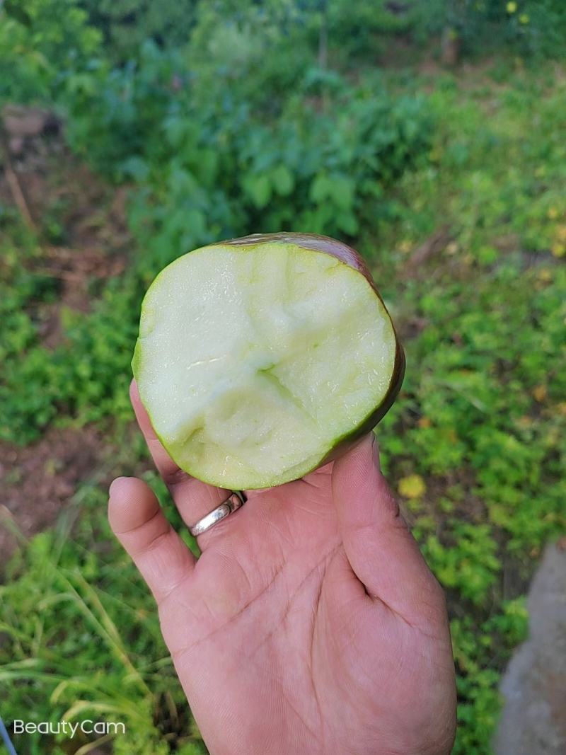 预售。欢迎老板们的光临华硕苹果很快就上市了有需要的可联系