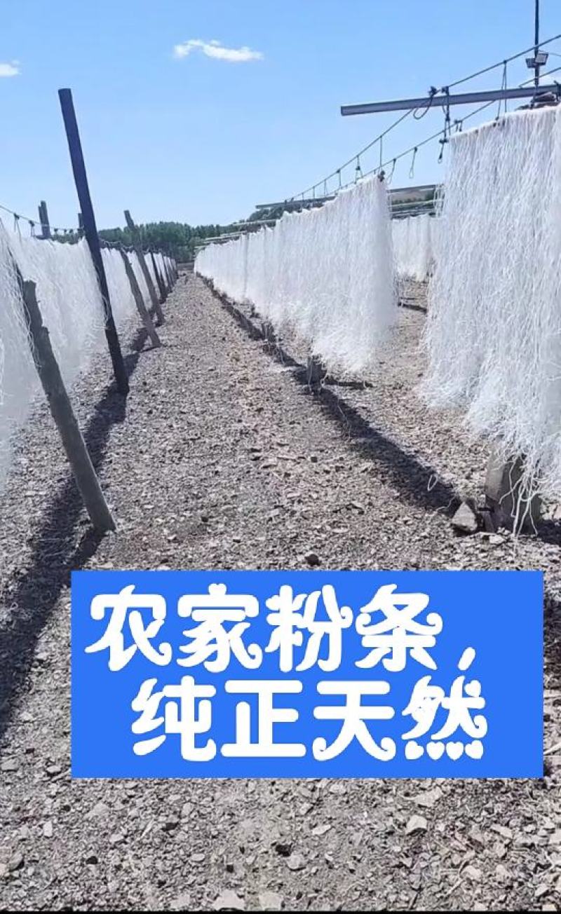 正宗东北纯土豆粉条，粉面子批发，零售。绿色天然，土豆粉条