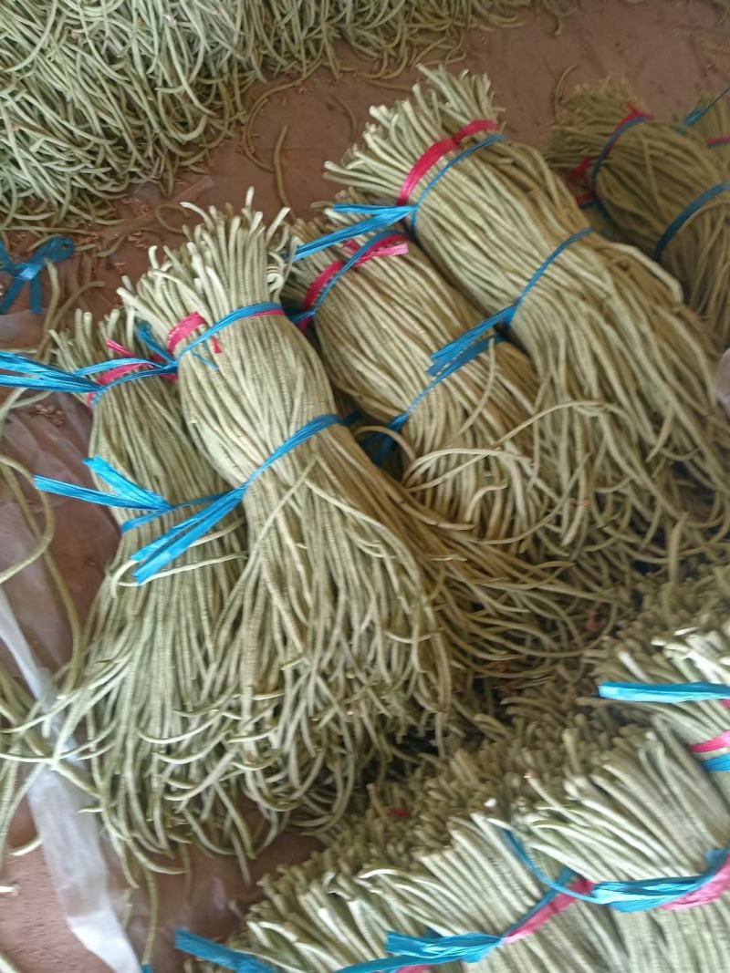 湖北长豆角原产地发货一手货源批发品质保证价格美丽！！