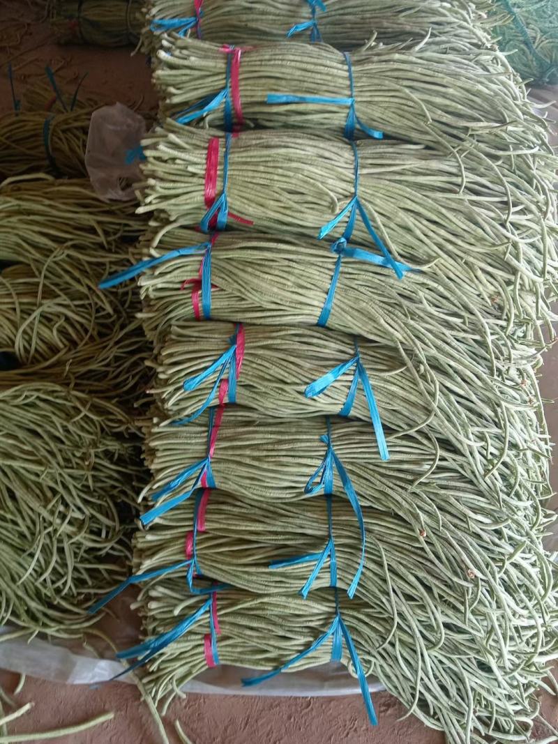 湖北长豆角原产地发货一手货源批发品质保证价格美丽！！