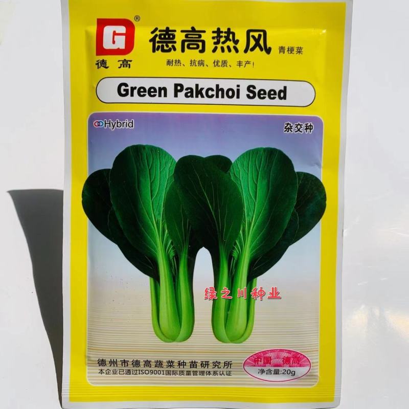 德高热风亮绿青梗菜种子耐热青菜种子好捆扎，可做中棵菜